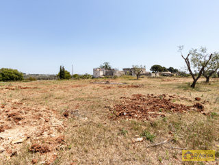 foto immobile Terreno vista mare  con casa rurale,Pajara e progetto per Villa con Piscina n. 42