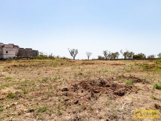foto immobile Terreno vista mare  con casa rurale,Pajara e progetto per Villa con Piscina n. 39