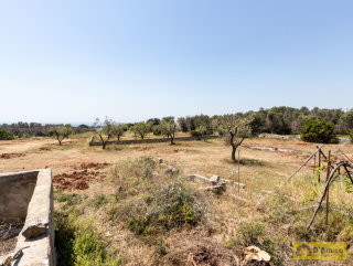 foto immobile Terreno vista mare  con casa rurale,Pajara e progetto per Villa con Piscina n. 31