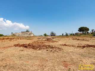 foto immobile Terreno con progetto per Villa e Piscina vista mare a Pescoluse n. 24