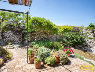 foto immobile Villa in corte rurale con giardino e Dependance sopra Santa Maria di Leuca n. 50