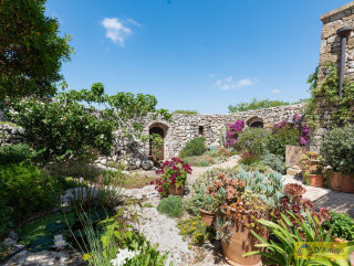foto immobile Villa in corte rurale con giardino e Dependance sopra Santa Maria di Leuca n. 70