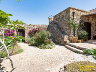 foto immobile Villa in corte rurale con giardino e Dependance sopra Santa Maria di Leuca n. 71