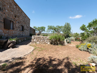 foto immobile Villa in corte rurale con giardino e Dependance sopra Santa Maria di Leuca n. 16