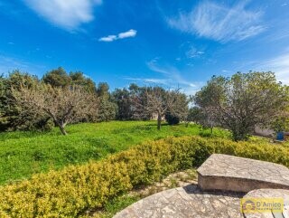 foto immobile Tipica Villa Vista Mare con Dependance e Progetto approvato per una Piscina. n. 38