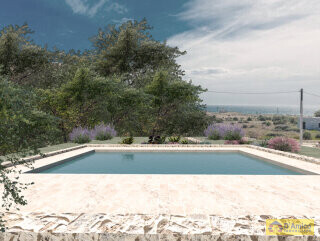 foto immobile Tipica Villa Vista Mare con Dependance e Progetto approvato per una Piscina. n. 5