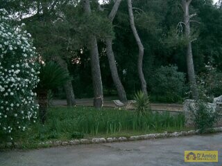 foto immobile Villa Storica con Parco privato al centro di Corigliano d'Otranto  n. 16