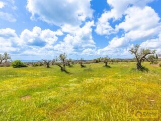 foto immobile Moderna Villa con Piscina e Meravigliosa Vista Mare n. 30