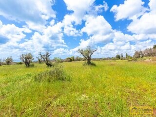 foto immobile Moderna Villa con Piscina e Meravigliosa Vista Mare n. 31
