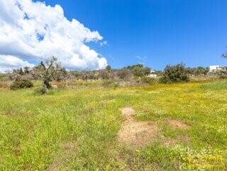 foto immobile Moderna Villa con Piscina e Meravigliosa Vista Mare n. 32