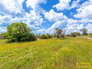 foto immobile Moderna Villa con Piscina e Meravigliosa Vista Mare n. 34