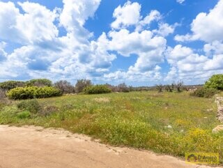foto immobile Tipica Villa Salentina con Vista Mare e Piscina n. 5