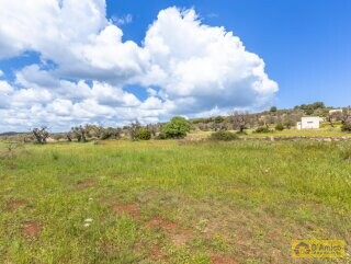 foto immobile Tipica Villa Salentina con Vista Mare e Piscina n. 7