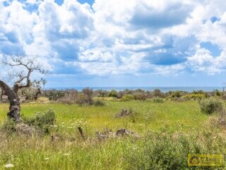 foto immobile Tipica Villa Salentina con Vista Mare e Piscina n. 12