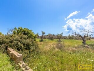 foto immobile Tipica Villa Salentina con Vista Mare e Piscina n. 13