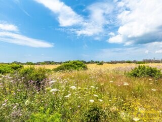 foto immobile Villa Tipica, in costruzione, con Piscina, immersa nella campagna del Salento n. 26