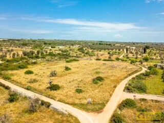 foto immobile Villa Tipica, in costruzione, con Piscina, immersa nella campagna del Salento n. 27
