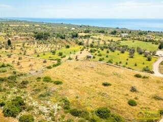 foto immobile Villa Tipica, in costruzione, con Piscina, immersa nella campagna del Salento n. 28
