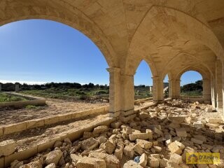 foto immobile Villa Tipica, in costruzione, con Piscina, immersa nella campagna del Salento n. 5