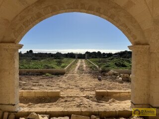 foto immobile Villa Tipica, in costruzione, con Piscina, immersa nella campagna del Salento n. 6