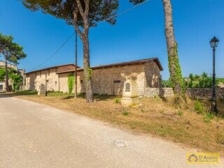 foto immobile Masseria degli Angeli, un'oasi di Salento con Uliveto e Vigneto n. 2