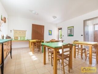 foto immobile Masseria degli Angeli, un'oasi di Salento con Uliveto e Vigneto n. 15