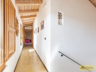 foto immobile Masseria degli Angeli, un'oasi di Salento con Uliveto e Vigneto n. 16
