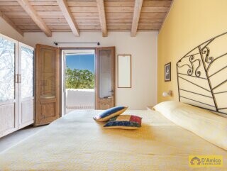 foto immobile Masseria degli Angeli, un'oasi di Salento con Uliveto e Vigneto n. 17
