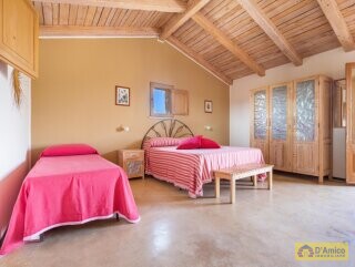 foto immobile Masseria degli Angeli, un'oasi di Salento con Uliveto e Vigneto n. 23