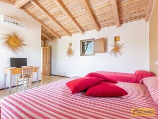 foto immobile Masseria degli Angeli, un'oasi di Salento con Uliveto e Vigneto n. 25