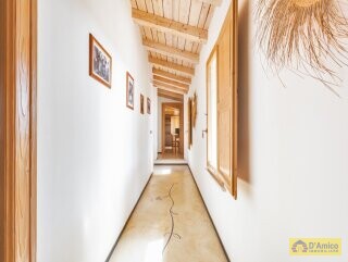 foto immobile Masseria degli Angeli, un'oasi di Salento con Uliveto e Vigneto n. 27