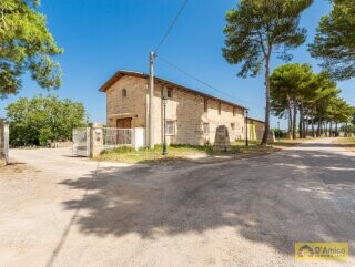 foto immobile Masseria degli Angeli, un'oasi di Salento con Uliveto e Vigneto n. 4