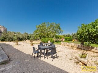 foto immobile Masseria degli Angeli, un'oasi di Salento con Uliveto e Vigneto n. 39