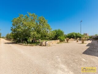 foto immobile Masseria degli Angeli, un'oasi di Salento con Uliveto e Vigneto n. 5