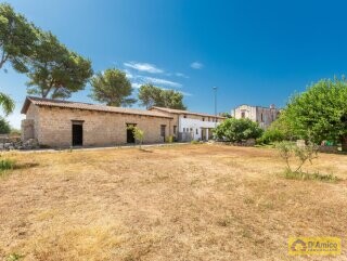 foto immobile Masseria degli Angeli, un'oasi di Salento con Uliveto e Vigneto n. 47