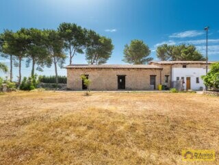 foto immobile Masseria degli Angeli, un'oasi di Salento con Uliveto e Vigneto n. 48