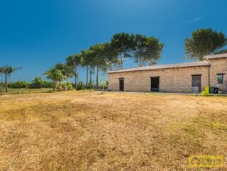 foto immobile Masseria degli Angeli, un'oasi di Salento con Uliveto e Vigneto n. 49