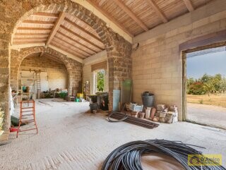 foto immobile Masseria degli Angeli, un'oasi di Salento con Uliveto e Vigneto n. 53
