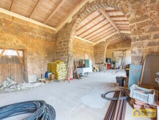 foto immobile Masseria degli Angeli, un'oasi di Salento con Uliveto e Vigneto n. 54