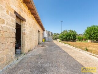 foto immobile Masseria degli Angeli, un'oasi di Salento con Uliveto e Vigneto n. 55