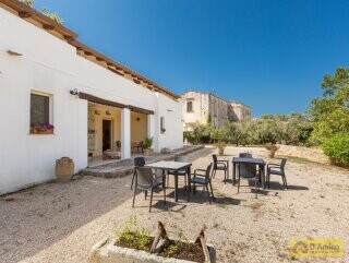 foto immobile Masseria degli Angeli, un'oasi di Salento con Uliveto e Vigneto n. 6