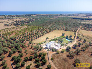 foto immobile Splendida Masseria Fortificata con Piscina, Immersa nella Campagna n. 2