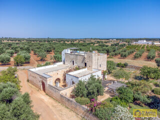 foto immobile Splendida Masseria Fortificata con Piscina, Immersa nella Campagna n. 11