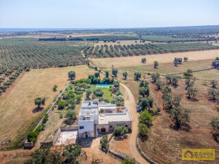 foto immobile Splendida Masseria Fortificata con Piscina, Immersa nella Campagna n. 3