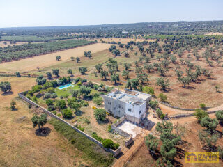 foto immobile Splendida Masseria Fortificata con Piscina, Immersa nella Campagna n. 4
