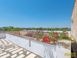 foto immobile Splendida Masseria Fortificata con Piscina, Immersa nella Campagna n. 30