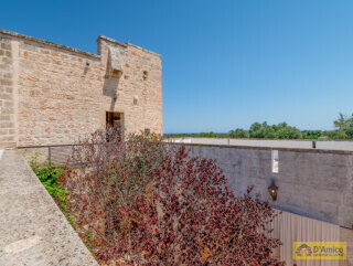 foto immobile Splendida Masseria Fortificata con Piscina, Immersa nella Campagna n. 31