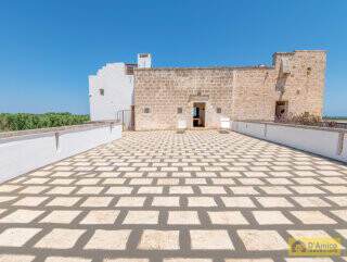 foto immobile Splendida Masseria Fortificata con Piscina, Immersa nella Campagna n. 33