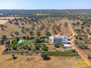 foto immobile Splendida Masseria Fortificata con Piscina, Immersa nella Campagna n. 5