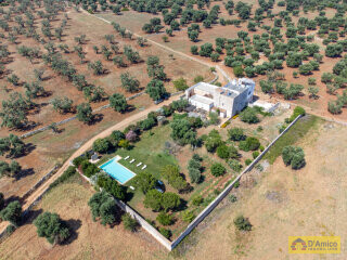 foto immobile Splendida Masseria Fortificata con Piscina, Immersa nella Campagna n. 6